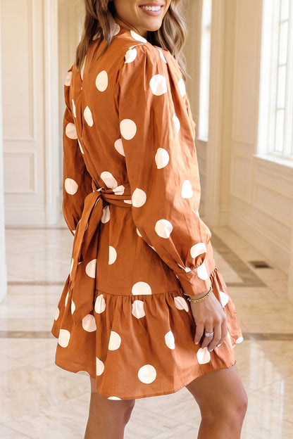 The Savvy Polka Dot Dress